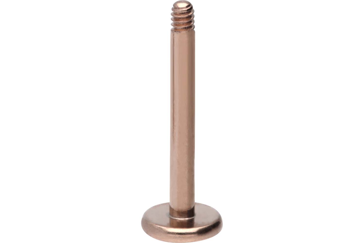 Chirurgenstahl Labret Piercing ohne Kugel